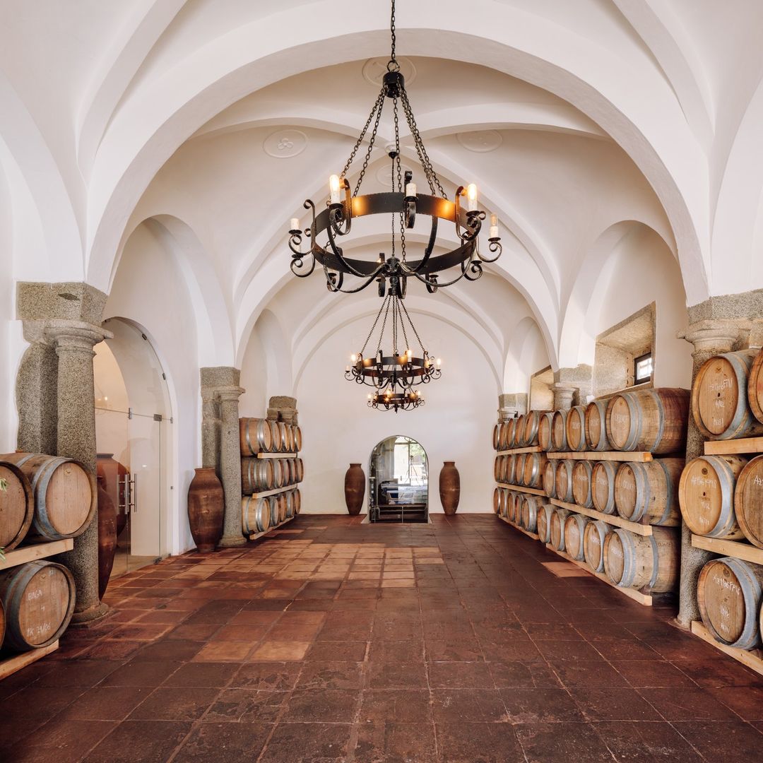It is here, in the secluded Sala das Colunas, where the red wines are aged in barrels! 🍷

via IG fitapreta.vinhos