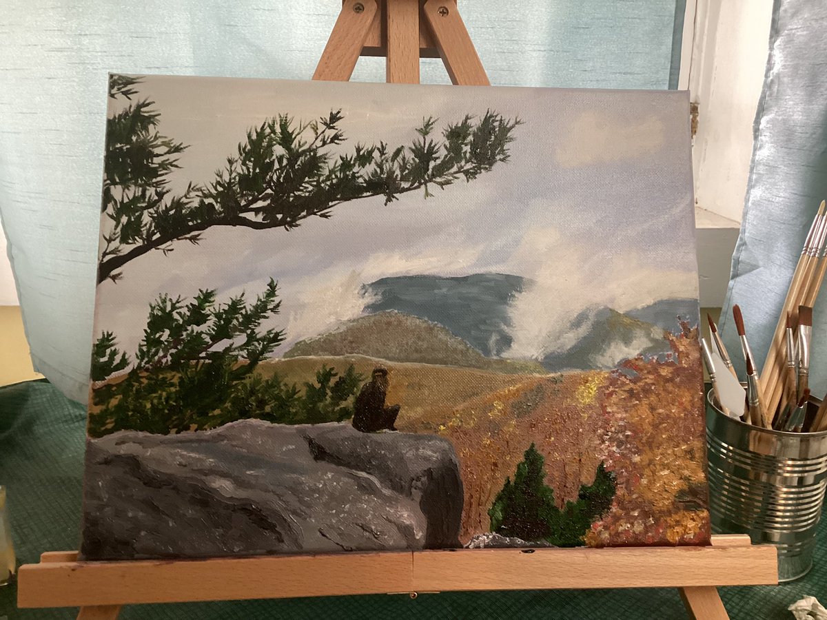 Davis Randal tweet media