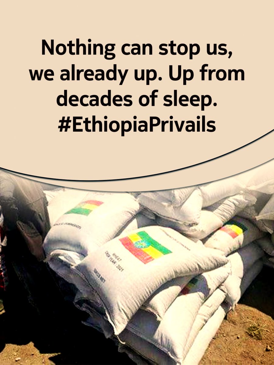 Nothing can stop us, we already up. Up from decades of sleep. 
#🇪🇹prevails 
በስንዴ ደለሉን፣አስፈራሩን ግን በመጨረሻ ያልተቀቀለውን የምድራችንን ፍሬ አገኘን።