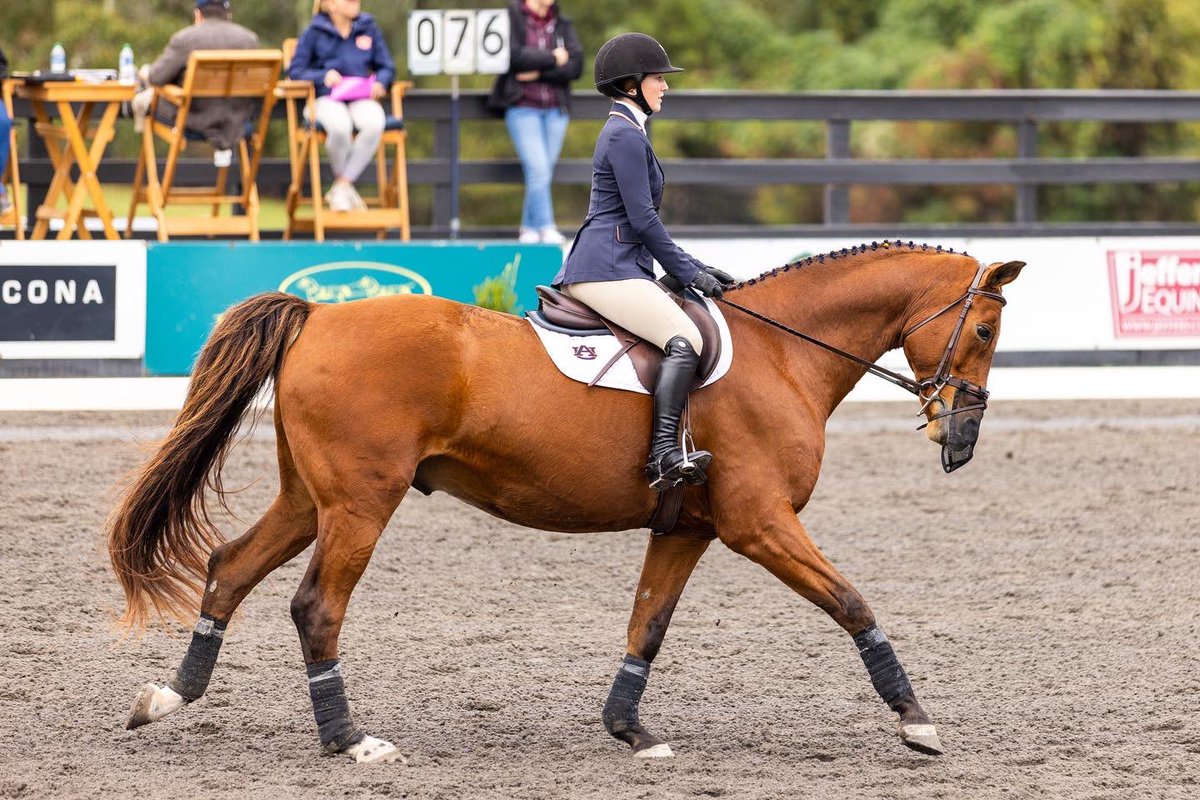 The Lee County Listener (@leecountylisten) on Twitter photo New interview with <a href="/Jess_Braswell/">Jessica Braswell</a> of <a href="/AuburnEQ/">Auburn Equestrian</a>: open.spotify.com/episode/5QqRms… Support the team at their meet against Oklahoma State today at 3 p.m. at the Auburn University Equestrian Center! #auburn #Auburn #alabama #Alabama New interview with <a href="/Jess_Braswell/">Jessica Braswell</a> of <a href="/AuburnEQ/">Auburn Equestrian</a>: open.spotify.com/episode/5QqRms… Support the team at their meet against Oklahoma State today at 3 p.m. at the Auburn University Equestrian Center! #auburn #Auburn #alabama #Alabama