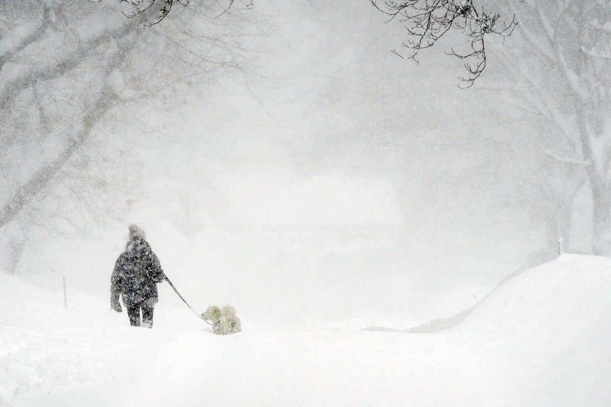 A pedestrian walks their dog on Crescent Drive in Orchard Park Friday, November 18, 2022.      (Mark Mulville/Buffalo News) #buffalosnow