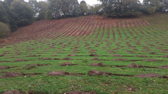 Mixed work this week as we start planting season on our #woodlandcreation sites and continue with our harvesting operations across the country producing #sustainable #homegrown timber for the UK markets. Imbedding carbon in final products and delivering returns to landowners