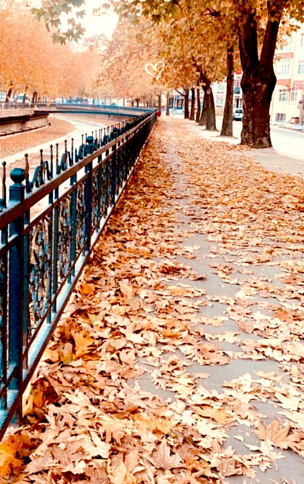 Ders, sen öğrenene kadar devam eder. Tekrar ediş, oluşu  anlamayıştan ileri gelir. Anlayanı pişirir, anlamayanı ise pişene dek yakmaya devam eder. 
#Şamanöğretisi
#Kastamonuçayboyu