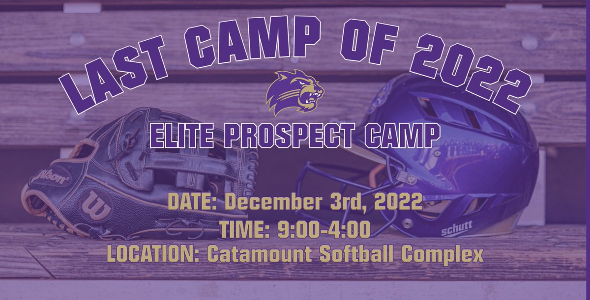 Western Carolina Softball tweet media