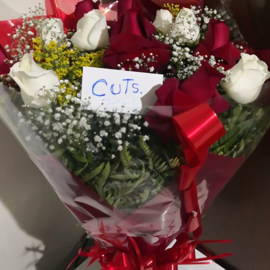 RedTraSex's tweet photo. Cálido gesto de las compañeras de #Brasil quienes entregaron un ramo de flores a @Lucy_EsquivelPy
"Agradecemos su presencia como secretaria ejecutiva de #RedTraSex a la cual la #CUTS está afiliada con mucho orgullo, por ser parte de una red tan grande." #TrabalhoSexualÉTrabalho https://t.co/zegUBbnm1Q