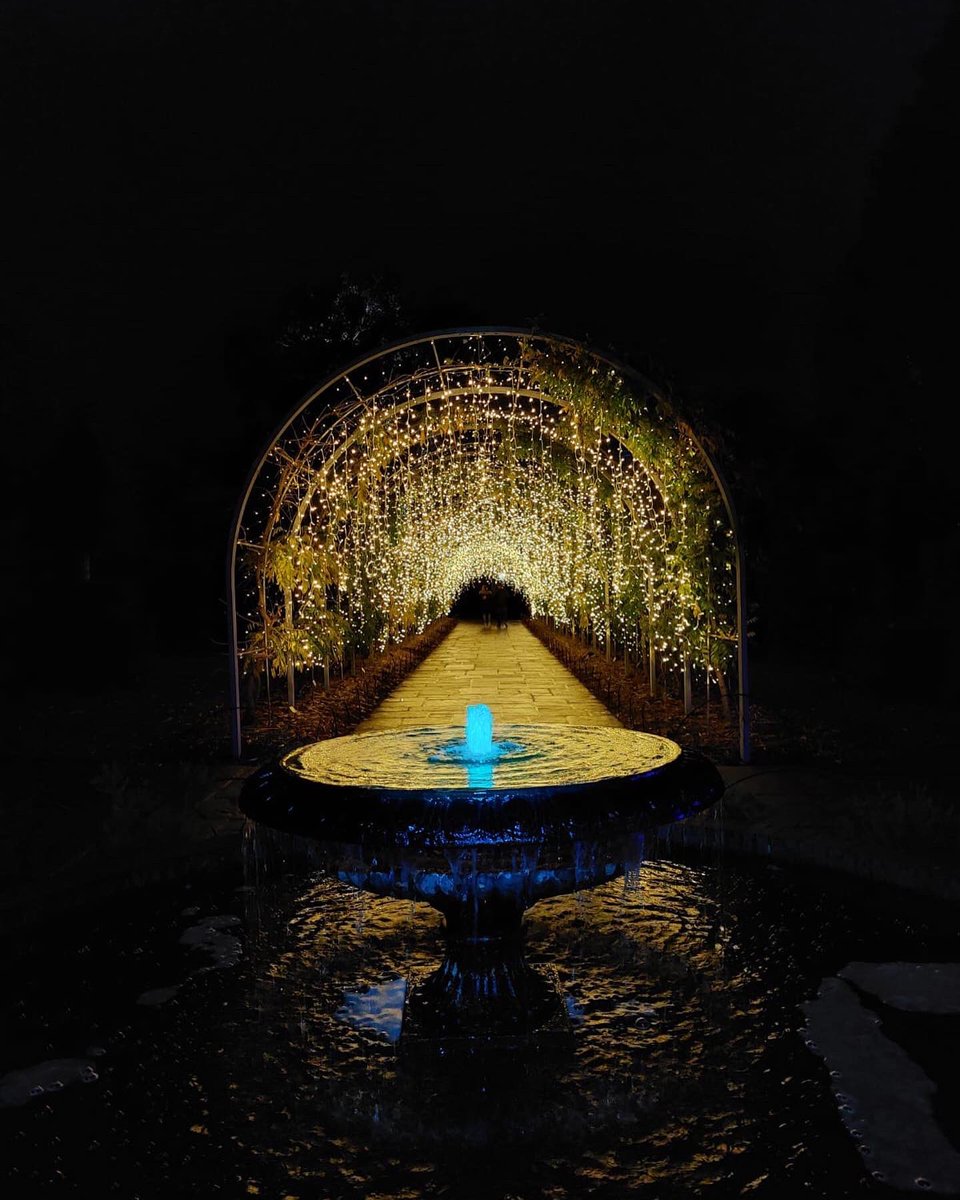 LondonWlogger's tweet photo. Let it Glow at @rhswisley! ✨ 

Best way to get into the festive spirit! 🎄🎁☃️ @The_RHS #RHSGlow https://t.co/WaWUXUke5P