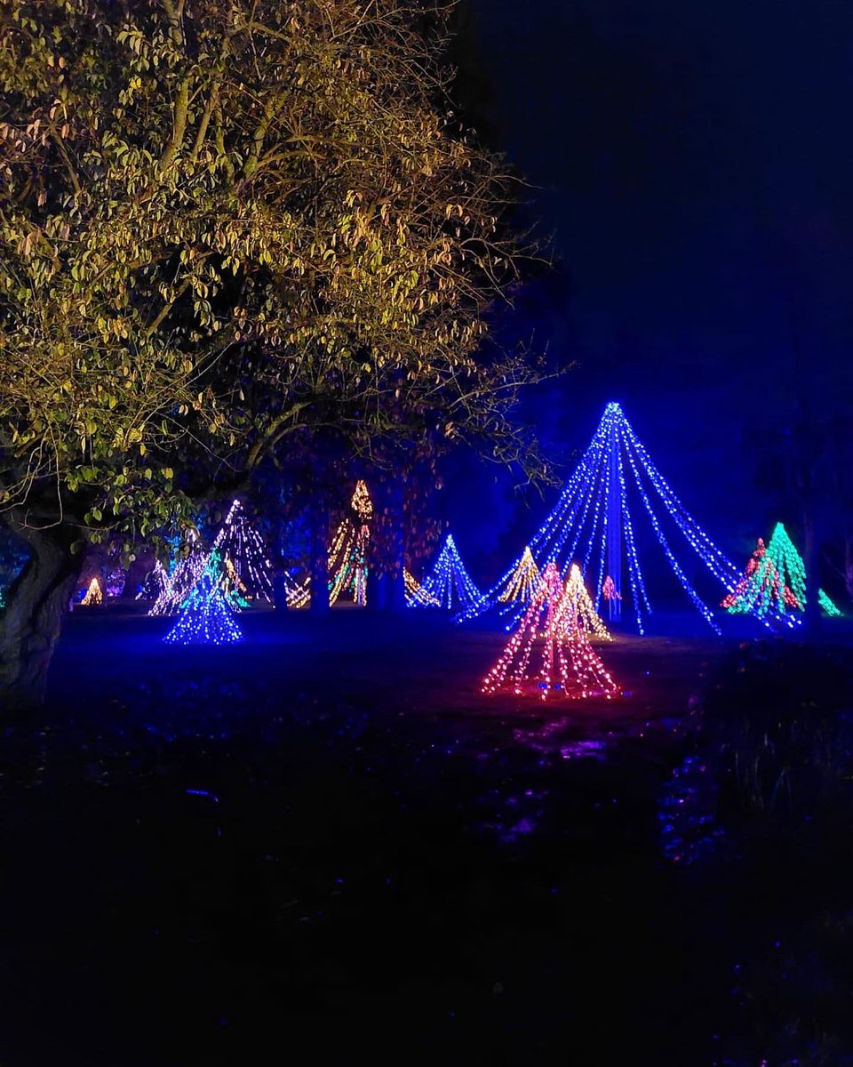 LondonWlogger's tweet photo. Let it Glow at @rhswisley! ✨ 

Best way to get into the festive spirit! 🎄🎁☃️ @The_RHS #RHSGlow https://t.co/WaWUXUke5P