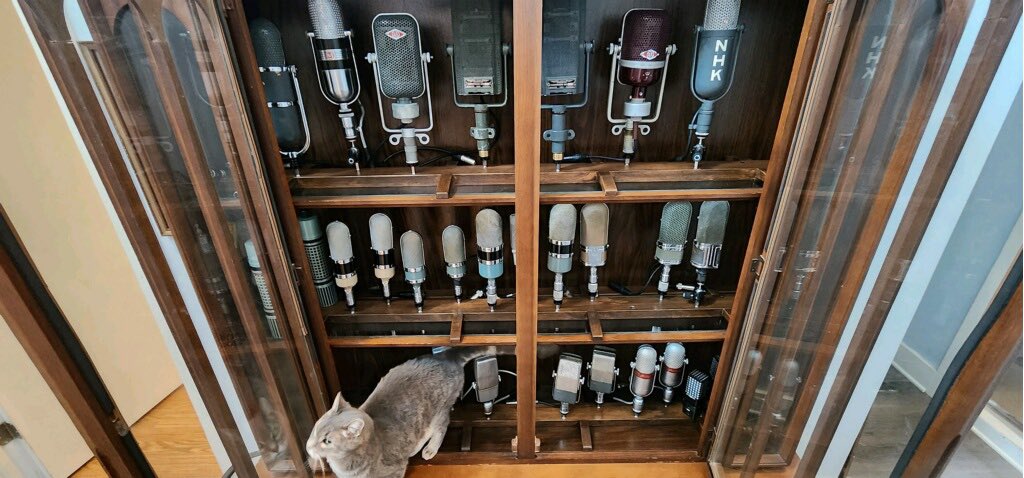 Triad Orbit tweet media