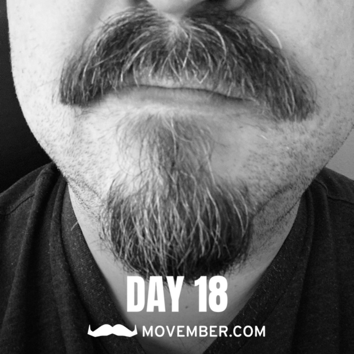 ethernick's tweet photo. Name that decade.

Please donate #movember #movember2022 #ReverseMo  #mow2mo 

https://t.co/lkpNjwlLqr https://t.co/dOtb2Uj18B
