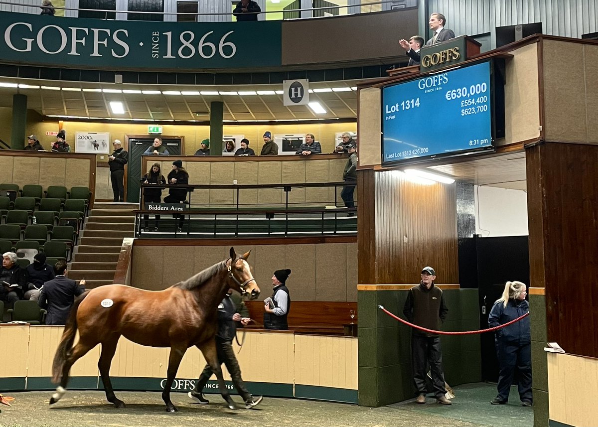𝐏𝐥𝐞𝐚𝐬𝐚𝐧𝐭 𝐃𝐫𝐞𝐚𝐦𝐬 (Lot 1314) is a Galileo half to Group 2 Lowther S. winner BESHARAH, consigned by <a href="/grenane/">Grenane House Stud</a> and sold to <a href="/BBAIreland/">BBA Ireland</a> and the Lucky Vega Syndicate for €630,000 at #GoffsNovember