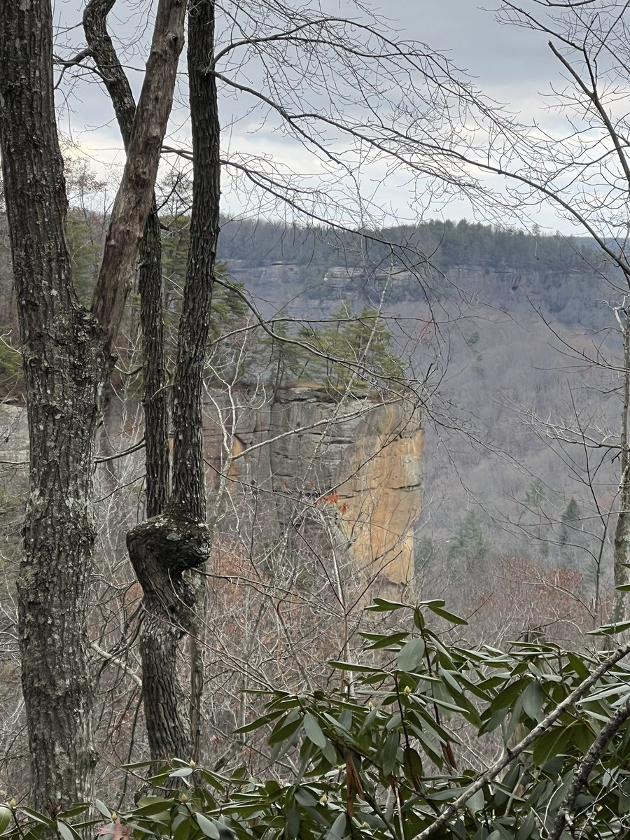 Beautiful sight of Jailhouse Rock from across the ridge and a gorgeous view from atop. #RedRiverGorge #HikeKentucky