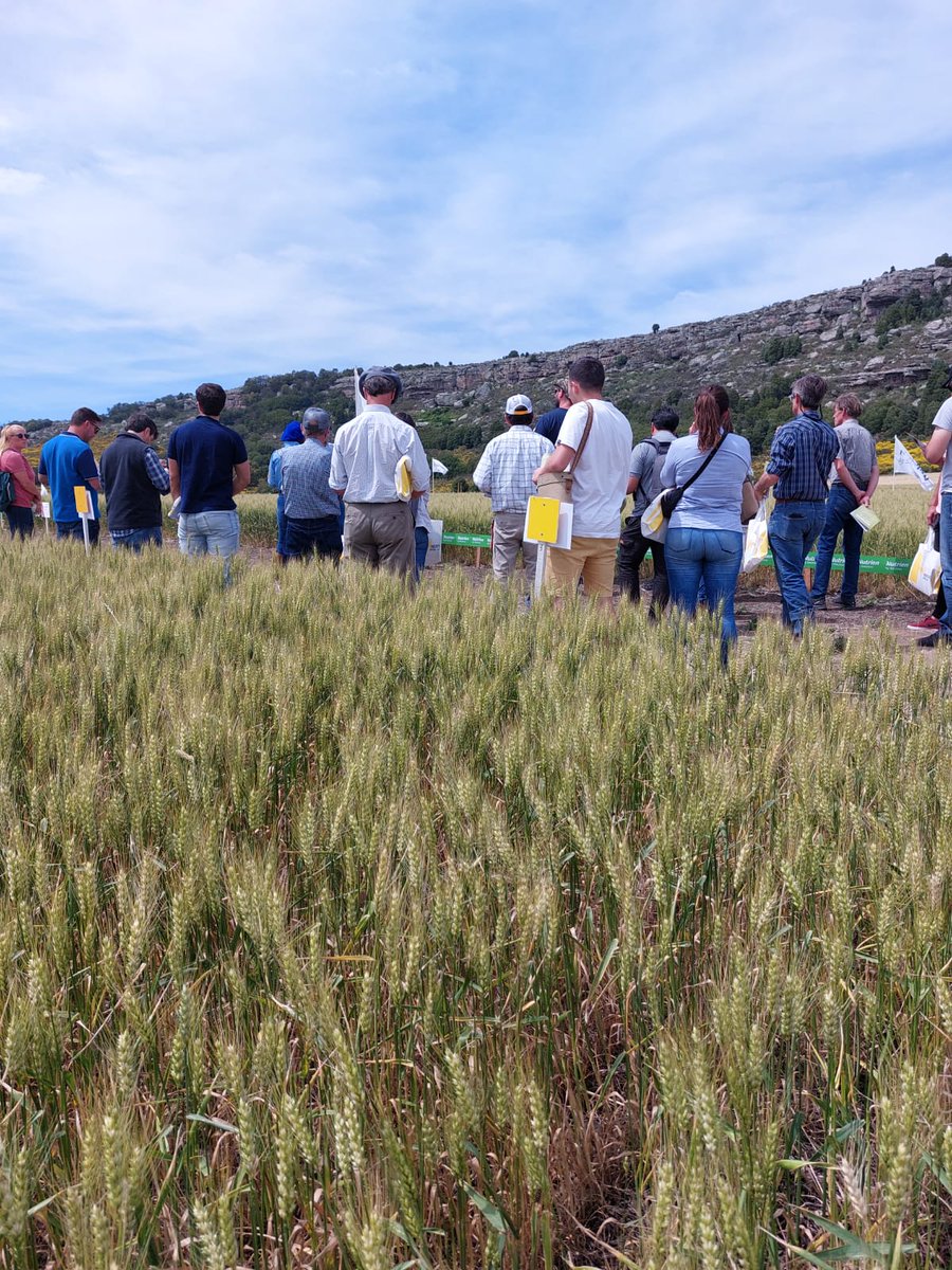 AapreMDQFangio's tweet photo. Postales #UPA #fina 2022, @AapresidFangio . Un lujo tener a Angel Berardo, Marcelo Carmona, @GRSueloCultivo, @juanchiem Estudiantes de @fcabalcarce, #Productores, #Asesores, y #Compañias #Lideres del #Agro. #Juntossabemosmas @aapresid  #Gracias! https://t.co/sUfZo8Du6t