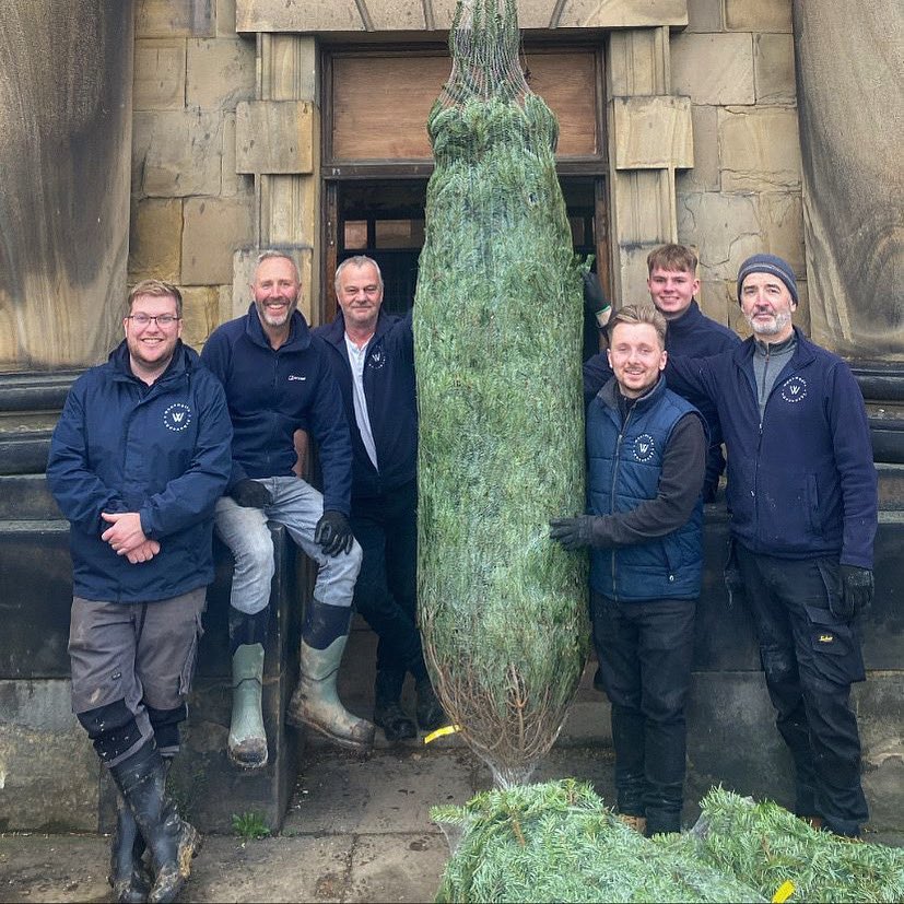 Christmas is coming!