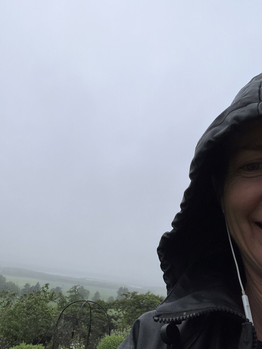 keeling3635's tweet image. Today’s the first time I’ve had to tow calf milk in the rain up to our runoff this season. It was a good run while it lasted, but we love a decent rain in North Otago. #AgTwitter #goodrain