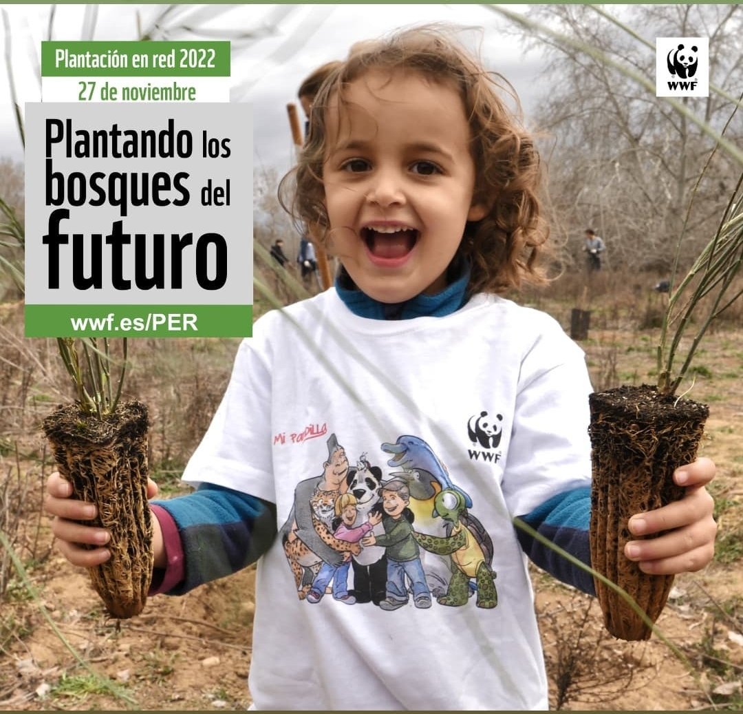 Grupo Local WWF Madrid tweet media