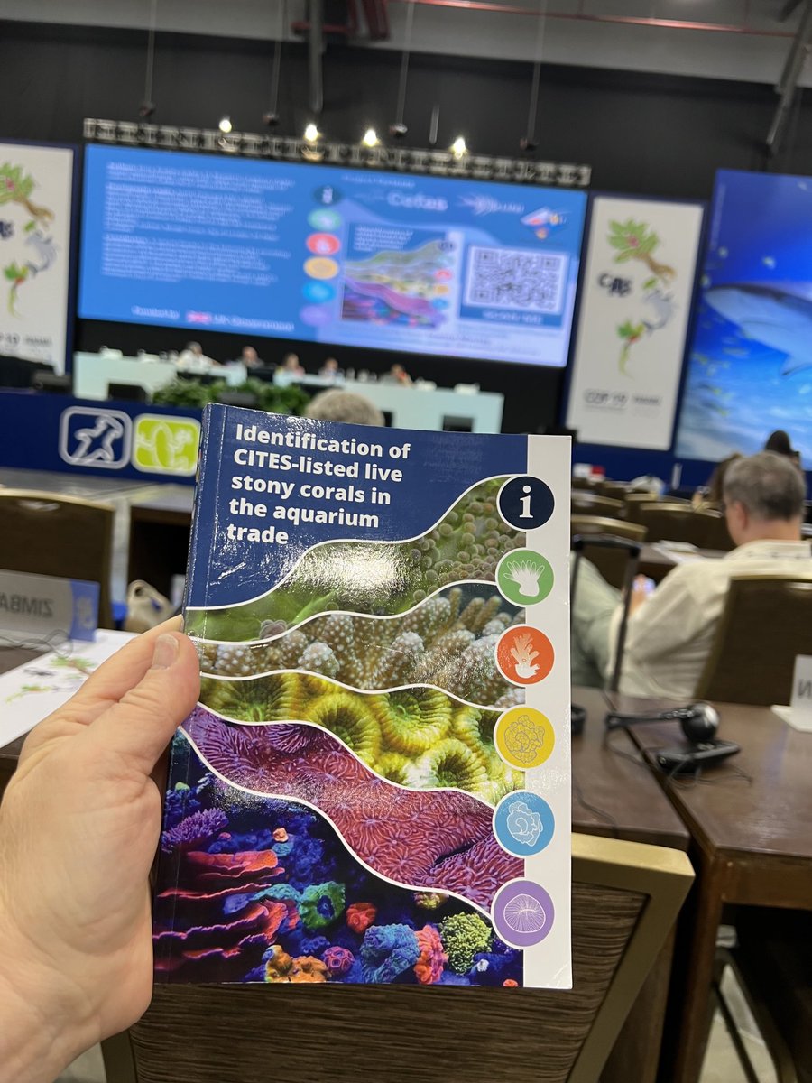 AmandaVincent1's tweet photo. Exciting new ID guide to corals intended for border staff &amp; enforcement agencies but brilliant for anybody who cares about corals. Request it from Joanna.murray@cefas.gov.uk 1/2 https://t.co/wuiD6EAfGC