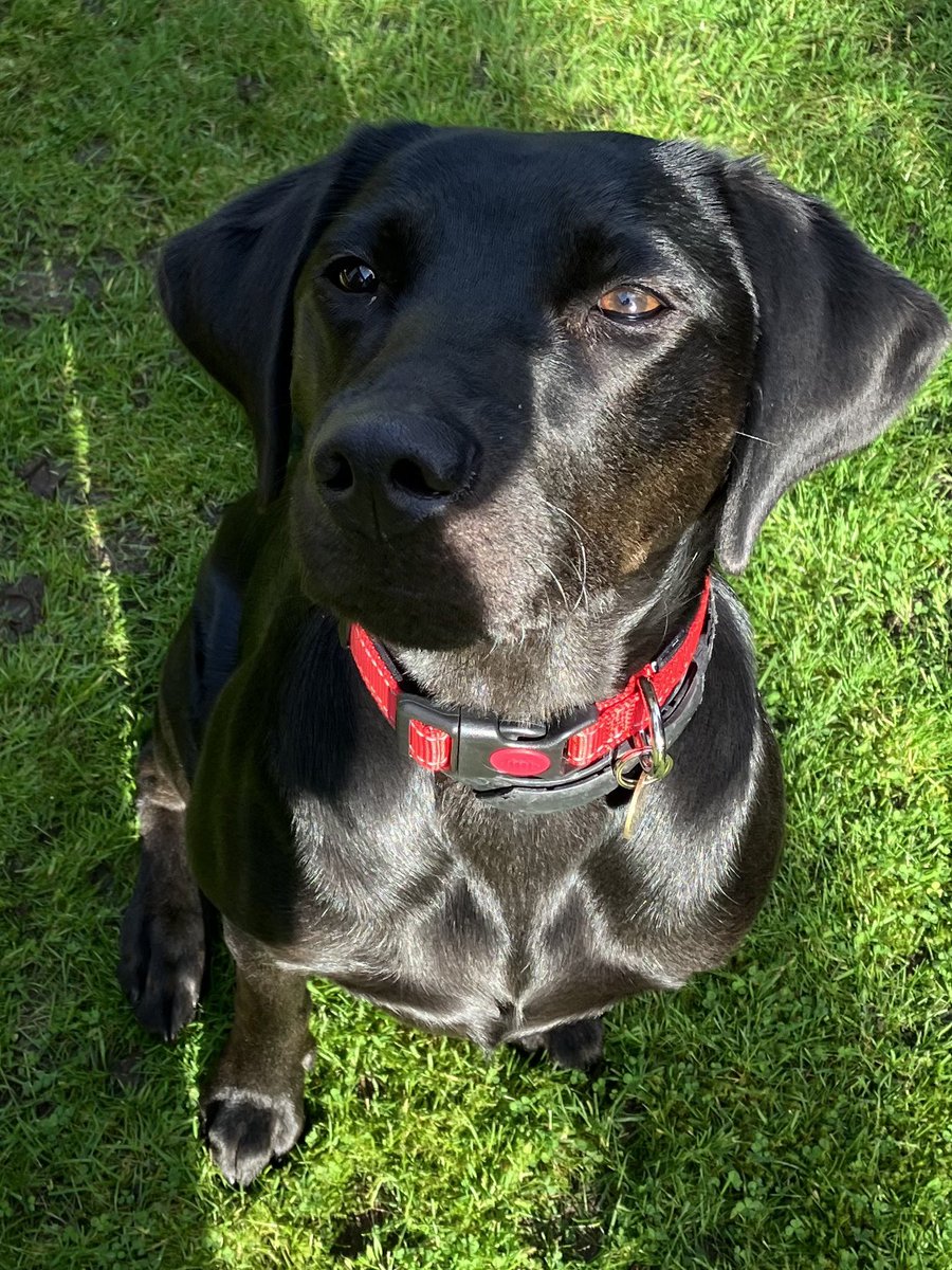 Helen Barlow tweet media