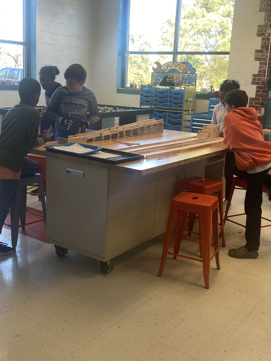 STEMatWSES's tweet photo. STEM5… kinetic and potential energy in action. The Great Turkey Race with @KEVAplanks @WSESSmithfield @IWCSchools @IAspire2Inspire https://t.co/SOeyWSXPpE