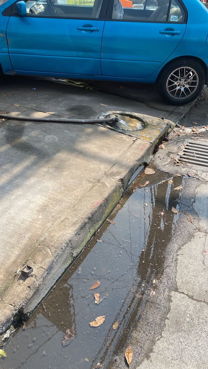 Fernando Rocha 🎶📚 tweet media