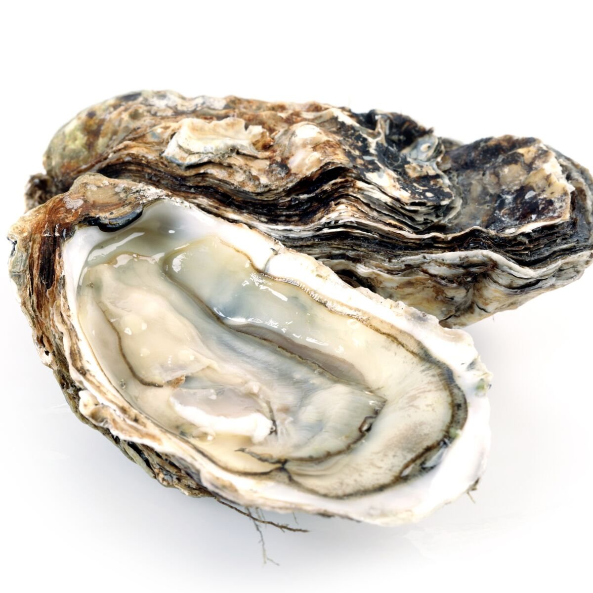 MondeFascinant's tweet photo. Avant l’an 645, les fruits de mer n’étaient pas consommés. En effet, la première personne à avoir avalé une huître était un roi mérovingien qui souhaitait se donner la mort après une défaite militaire. Il trouva ça plutôt bon et décida d’en servir à ses futurs banquets. https://t.co/mF9XqzdlpG