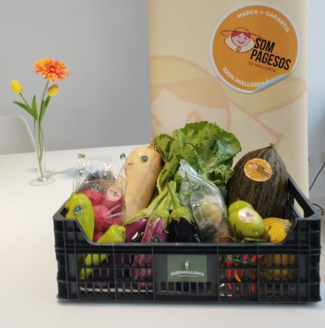 🤩SORTEIG❗ Vols guanyar una panera de producte de temporada mallorquí de SOM PAGESOS? Contesta la següent pregunta correctament i seràs un dels seleccionats per poder guanyar.
🤓 QUIN SON LES QUATRE EMPRESES AGROALIMENTÀRIES FUNDADORES DE SOM PAGESOS?🤓