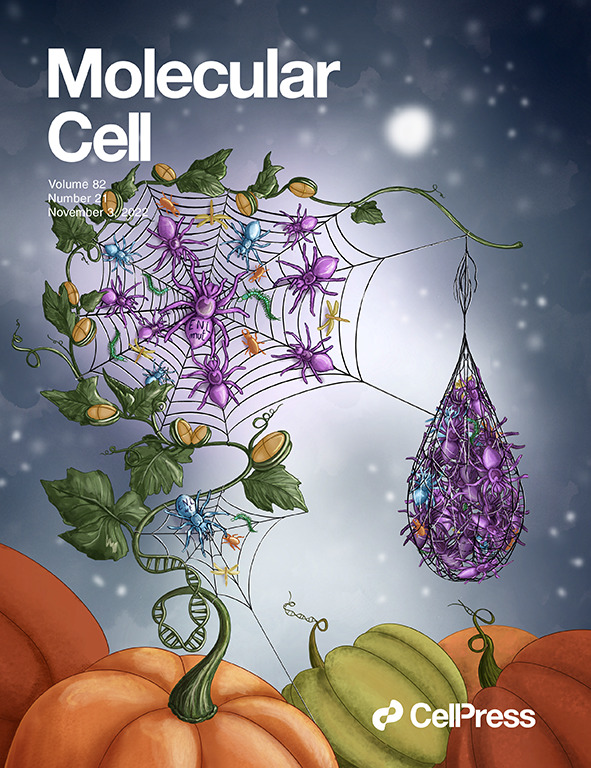 Penn Medicine CSO (@pennmedcso) on Twitter photo Ft'd on the cover of <a href="/MolecularCell/">Molecular Cell</a>, new research provides insights into mutant ENL condensate formation ft. Lele Song, Hangpeng Li, @alanboka1, Yiman Liu, <a href="/kaeli_mathias/">kaeli mathias</a>, Lingbo Xia, Qinglan Li <a href="/MustafaMir16/">Mustafa Mir-@mirlab.bsky.social</a> & <a href="/LilingWanLab/">Liling Wan</a> <a href="/Penn_CBIO/">Univ. of Pennsylvania Department of Cancer Biology</a> <a href="/PennCBP/">Cancer Biology Program @Penn</a> <a href="/PennCancer/">Penn Medicine - Abramson Cancer Center</a> bit.ly/3TE2cfl Ft'd on the cover of <a href="/MolecularCell/">Molecular Cell</a>, new research provides insights into mutant ENL condensate formation ft. Lele Song, Hangpeng Li, @alanboka1, Yiman Liu, <a href="/kaeli_mathias/">kaeli mathias</a>, Lingbo Xia, Qinglan Li <a href="/MustafaMir16/">Mustafa Mir-@mirlab.bsky.social</a> & <a href="/LilingWanLab/">Liling Wan</a> <a href="/Penn_CBIO/">Univ. of Pennsylvania Department of Cancer Biology</a> <a href="/PennCBP/">Cancer Biology Program @Penn</a> <a href="/PennCancer/">Penn Medicine - Abramson Cancer Center</a> bit.ly/3TE2cfl