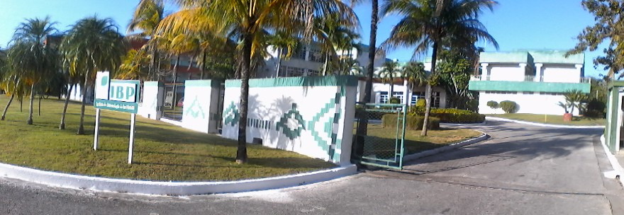 Instituto de Biotecnología de las Plantas tweet media