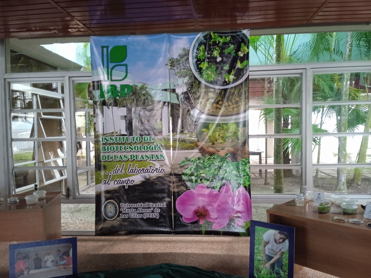 Se ultiman detalles para la celebración del #30aniversario del <a href="/IBPCU/">Instituto de Biotecnología de las Plantas</a>  este 19 de noviembre con el concepto de llevar la ciencia desde el laboratorio hasta el campo <a href="/DiazCanelB/">Miguel Díaz-Canel Bermúdez</a> <a href="/PresidenciaCuba/">Presidencia Cuba 🇨🇺</a> <a href="/JorgeLuisTapiaF/">Jorge Luis Tapia Fonseca</a> <a href="/citmacuba/">Ministerio de Ciencia, Tecnología y Medio Ambiente</a> <a href="/CubaMES/">MES</a>