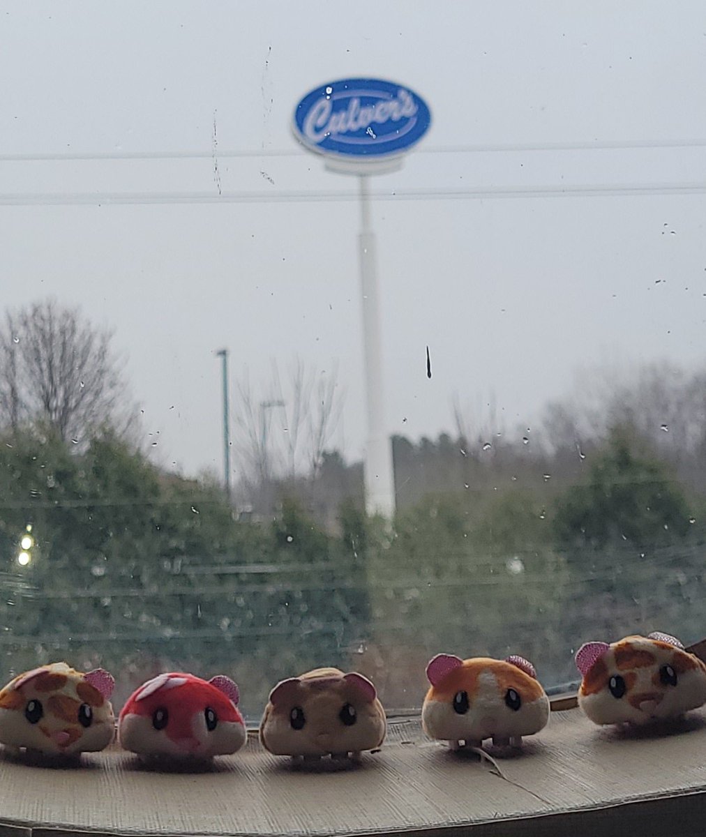 Hamsters in a House Chillin' in the Snow!