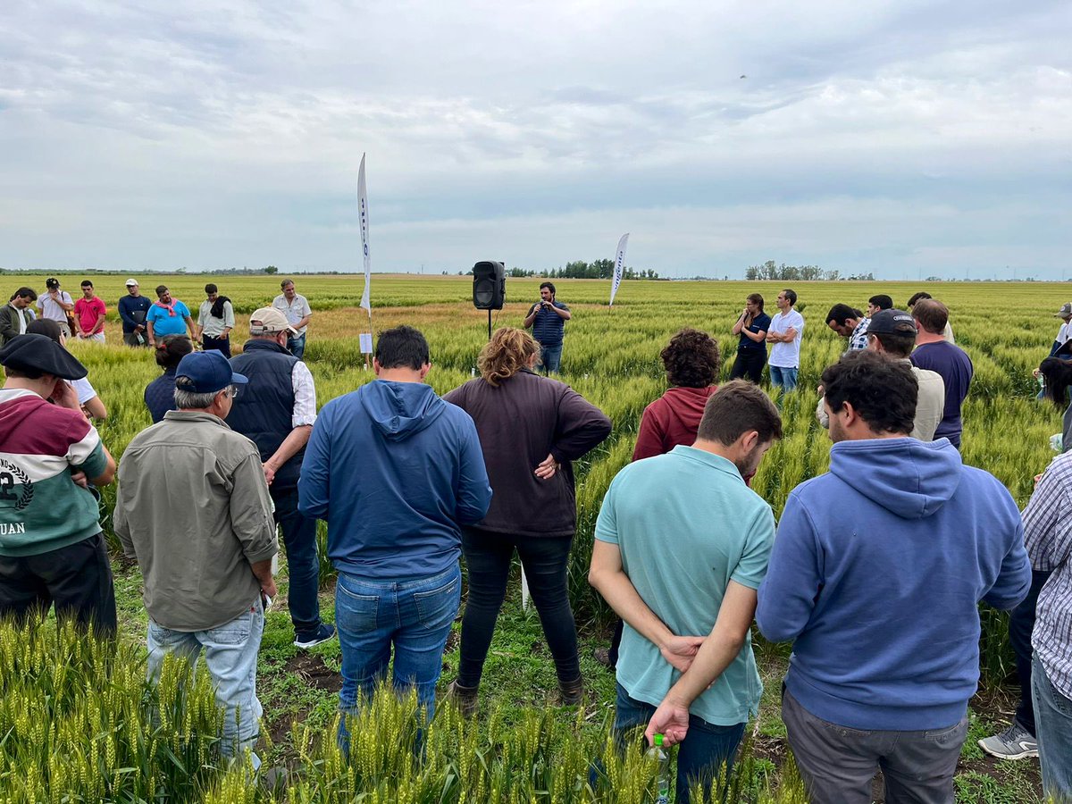 UPA <a href="/aapresid/">Aapresid</a>

📍 Bolívar

Jornada de intercambio para evaluar diferentes estrategias de control de enfermedades en fina. 

♻️🚀🌾🧬

@Bayer4CropsAR <a href="/ElPayeSA/">El Payé - Insumos y Servicios S.A.</a> <a href="/SabattiniMaxi/">Maxi Sabattini</a> <a href="/Manuel_Darrig/">Manuel D</a> <a href="/Fededezeo/">Fede</a> <a href="/Japo_ls08/">Joaquin del Rio</a>