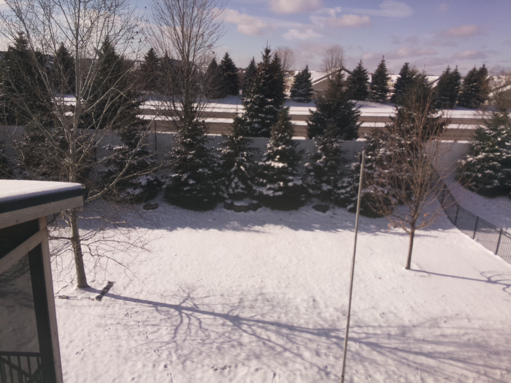 This Hours Photo: #weather #minnesota #photo #raspberrypi #python https://t.co/DRqyDtx5a5
