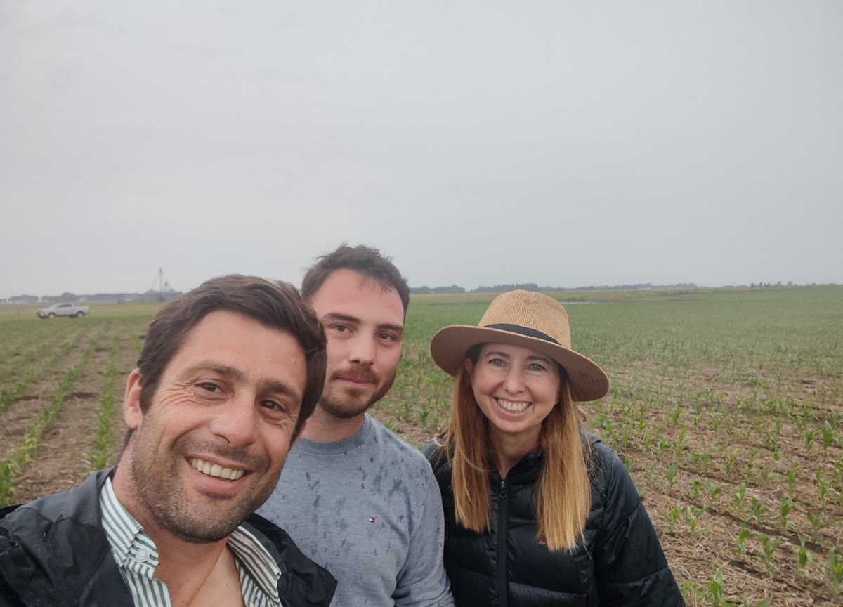 Manuel D tweet media