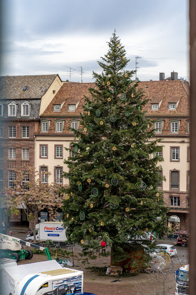 Damien Maurin tweet media