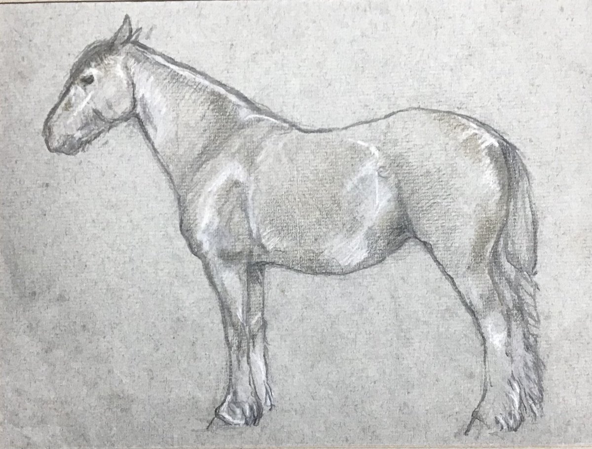 chrismosswire's tweet photo. Fell Pony sketch on Friday: Rosie waiting for a bath - note the ear twitch and the side-eye, small eloquent gestures - she wasn’t that keen…
#FellPony #NativePonies #poniesoftwitter #FellPonySociety #Cumbria #pastel #drawing #art #pastel https://t.co/PpWyp3uXvb