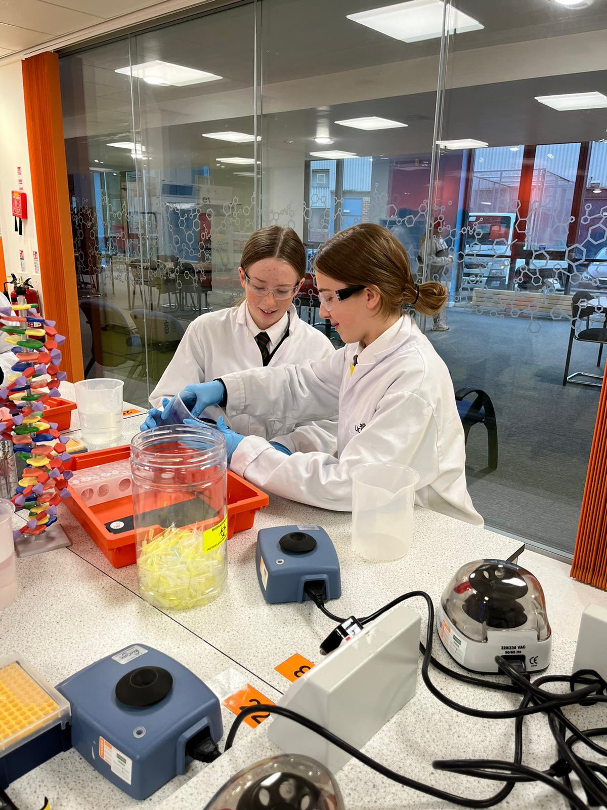 Holy Cross Science Department on Twitter: 