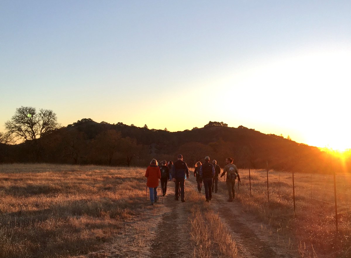 sonomaopenspace's tweet image. We’re ready for the weekend, and some exploration! If you’re looking for inspiration, we have exciting (and free!) outings all winter long, including a fire ecology walk at Saddle Mountain and two winter celebrations. Sign up via: campsite.bio/sonomaopenspace
