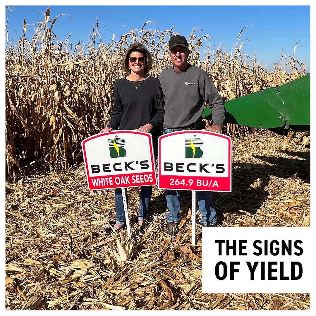 Beck's Hybrids tweet media