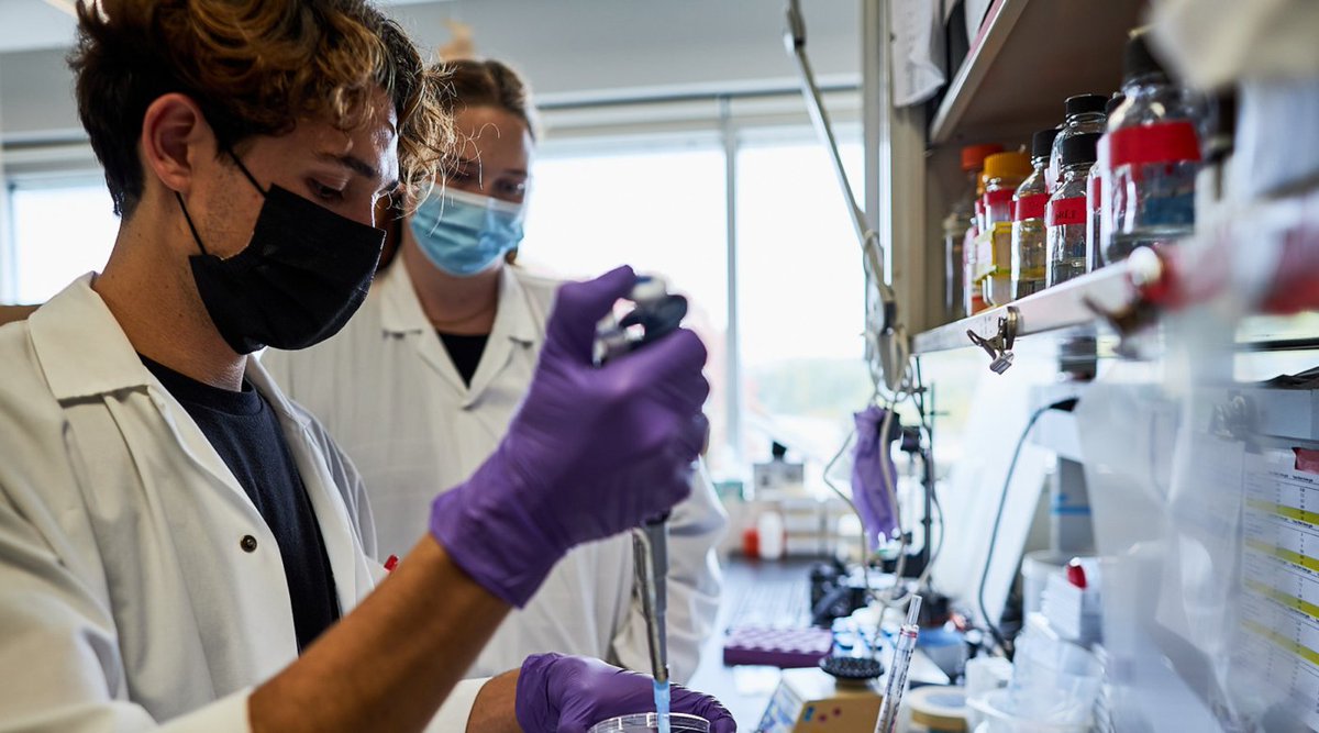 L’IRIC est fier de la participation de <a href="/LaCDPQ/">Sayim PoC</a> à la création du Fonds Robert Tessier de la relève scientifique. Il a pour but de soutenir les étudiants et étudiantes à la maîtrise et au doctorat par l’octroi de bourses.

Merci de soutenir notre relève👩‍🔬👨‍🔬

bit.ly/3EhuUx7
