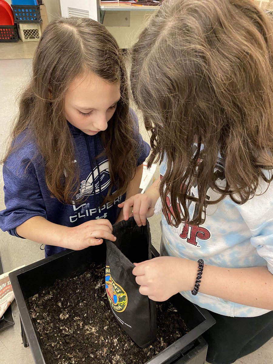 PCSDSTEM 5th Grade tweet media