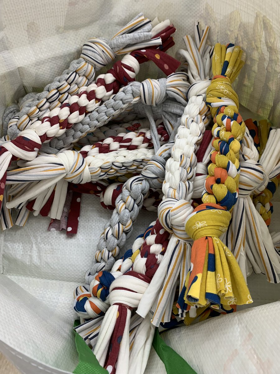 Cooper6Sms's tweet photo. For Human(e) Rights Day, Cooper 6 students made dog toys for a local animal shelter. Many thanks to the SMS PTA for their generous donation of fabric used to make the toys. #scarsdalemspride https://t.co/6bZBkouYWf