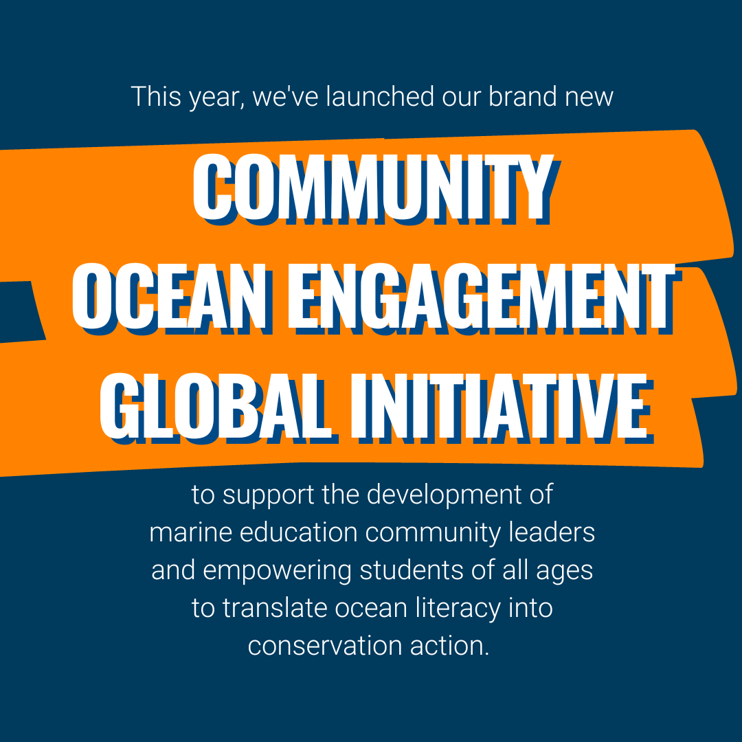 oceanfdn's tweet image. 📢 The time has come to share with you what we were able to accomplish together over the last year. Without further ado🥁, please welcome our 2022 Annual Report with a very special 20-year throwback inside:
➡️ oceanfdn.org/about-us/annua… ⬅️
#TOF20th #ThisIsTOF #MakingWavesforClimate
