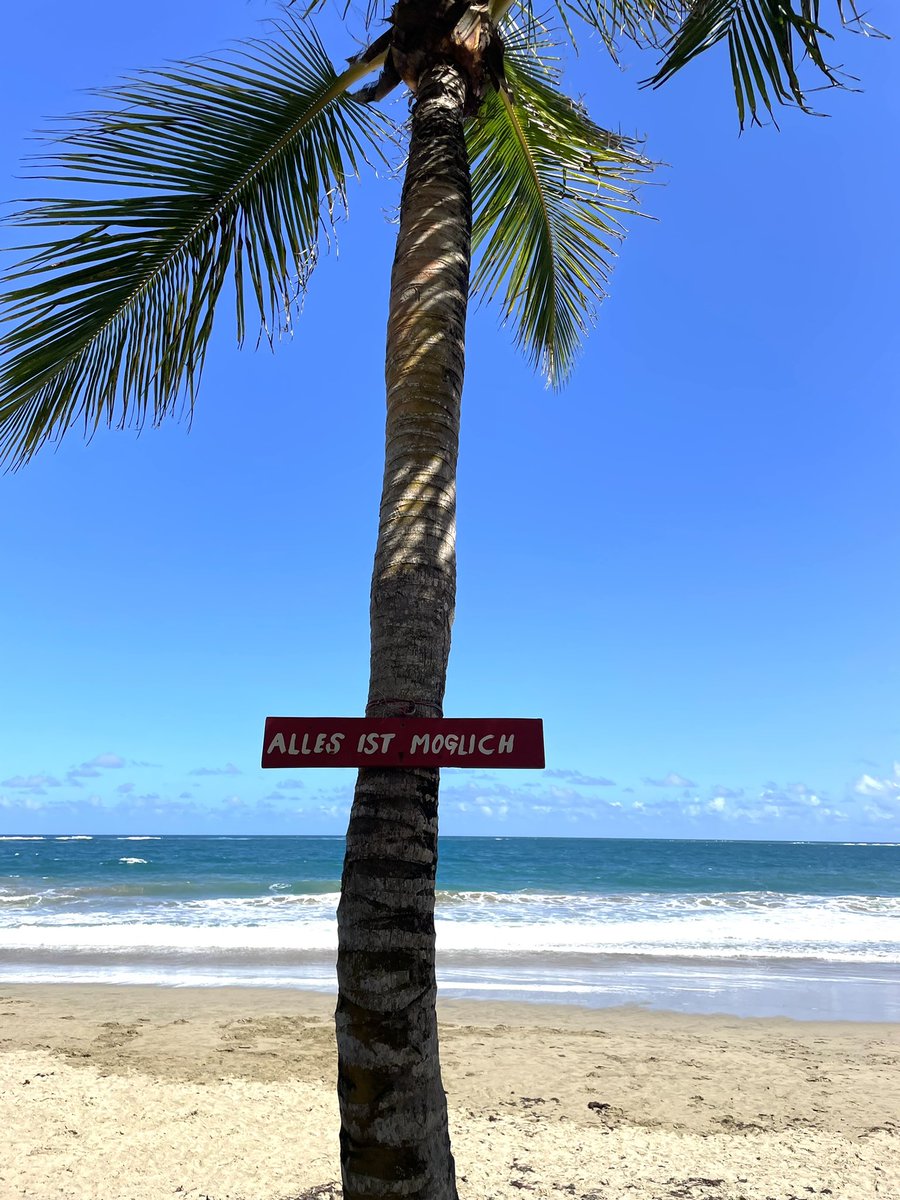 🏄‍♀️ y 🎶 : Marcus 🇩🇪 con apoyo de su mujer Patricia 🇩🇴 creó con "Master of the Ocean" un torneo único de las 5 disciplinas del surf y deportistas de todo el mundo. Con apoyo de 🇩🇪<a href="/GI_Mexiko/">Goethe-Institut Mexiko</a> traemos música electrónica a Cabarete (27.2.23). <a href="/TurismoRD/">Ministerio de Turismo RD</a> <a href="/Alemaniaparati/">Centro Alemán de Información para Latinoamérica</a> <a href="/ambienterd/">Ministerio de Medio Ambiente RD</a>