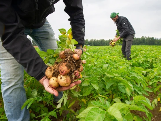 Squamish CAN tweet media