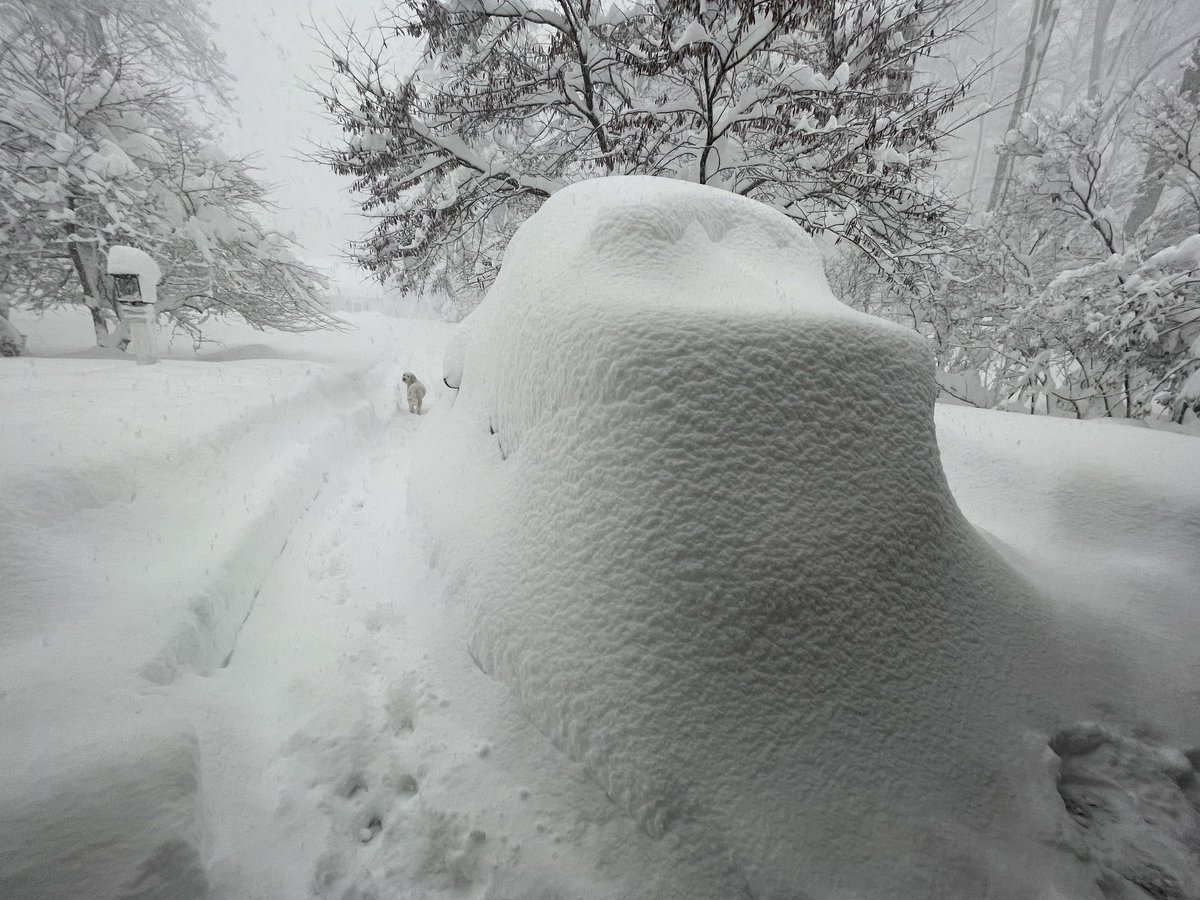 This is my car now… and it’s still snowing. #buffalosnow