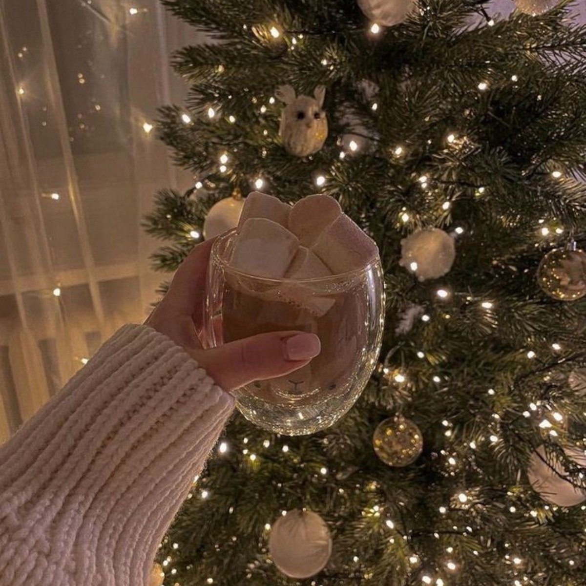 thinkerjoui's tweet photo. ◟🗯️⊹ Natal.
Onde Joui, mesmo sozinho, decide aproveitar o Natal da melhor forma possível!
#JouiWeek - Dia 6. https://t.co/rPrJXvmNfY