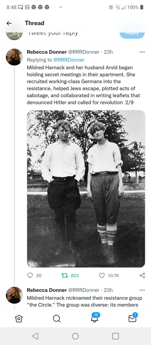 MaryWebb7's tweet image. Trump is #HitlerWannabe #GasChambersWereNext #WantsAbility2AssasinateU4Dissent #WhatPartWeNotGetting #TrumpBelongsInPrison #HisLegacyIsTreason #HeGotByWithGenocide #JusticeIsTheOnlySolution