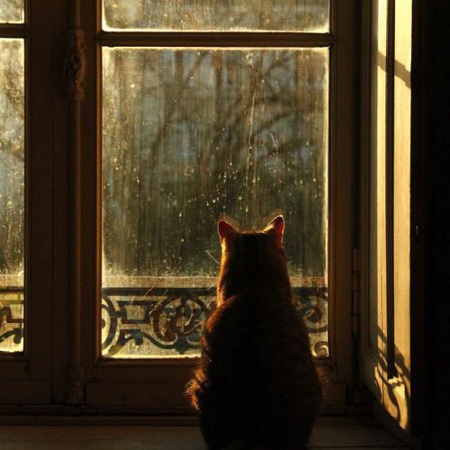 butafflai's tweet image. Não, eu não quero que você se apaixone, mas eu... —  a thread;