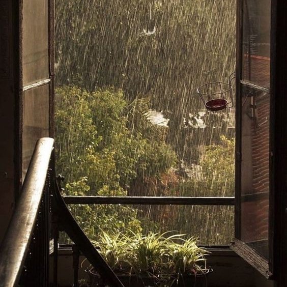 butafflai's tweet image. Não, eu não quero que você se apaixone, mas eu... —  a thread;