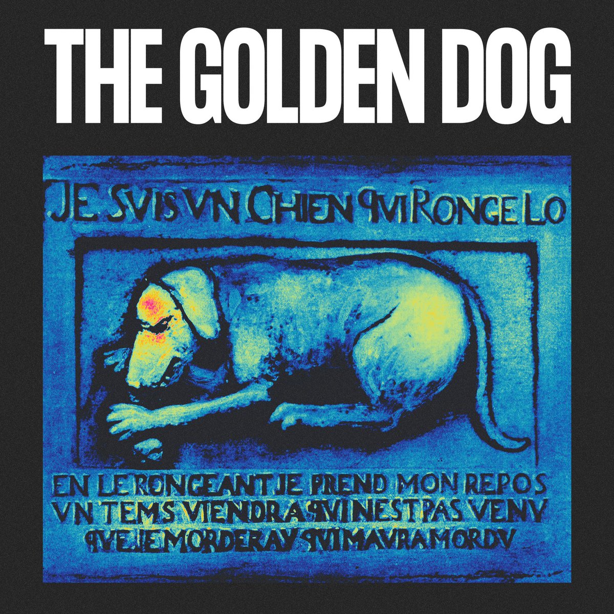 NEW SINGLE “THE GOLDEN DOG” OUT ON ALL PLATFORMS NOW

Listen here: linktr.ee/donttryqc