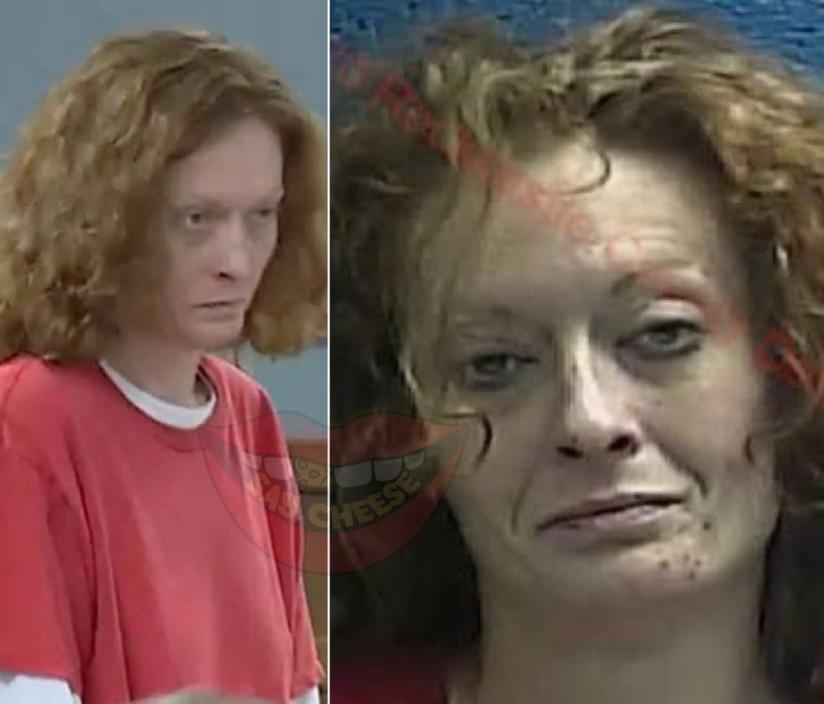 Say Cheese 👄🧀 On Twitter Kentucky Woman Gets 20 Years For Siccing Pit Bull On Man Killing Him